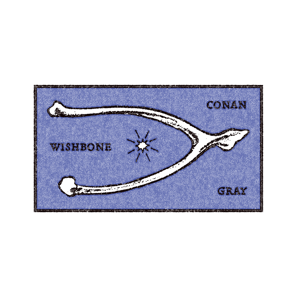 Wishbone Hoodie + CD Fan Pack Art