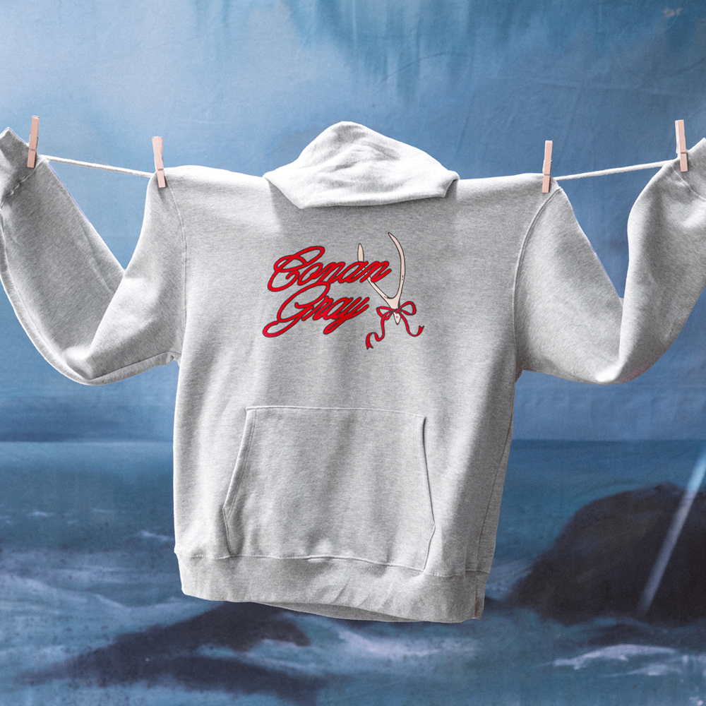 Conan Gray Ribbon Wishbone Hoodie Front Details