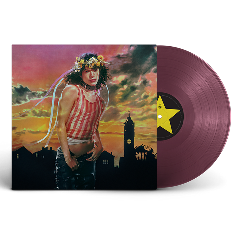 Vinyl - Conan Gray Official Store