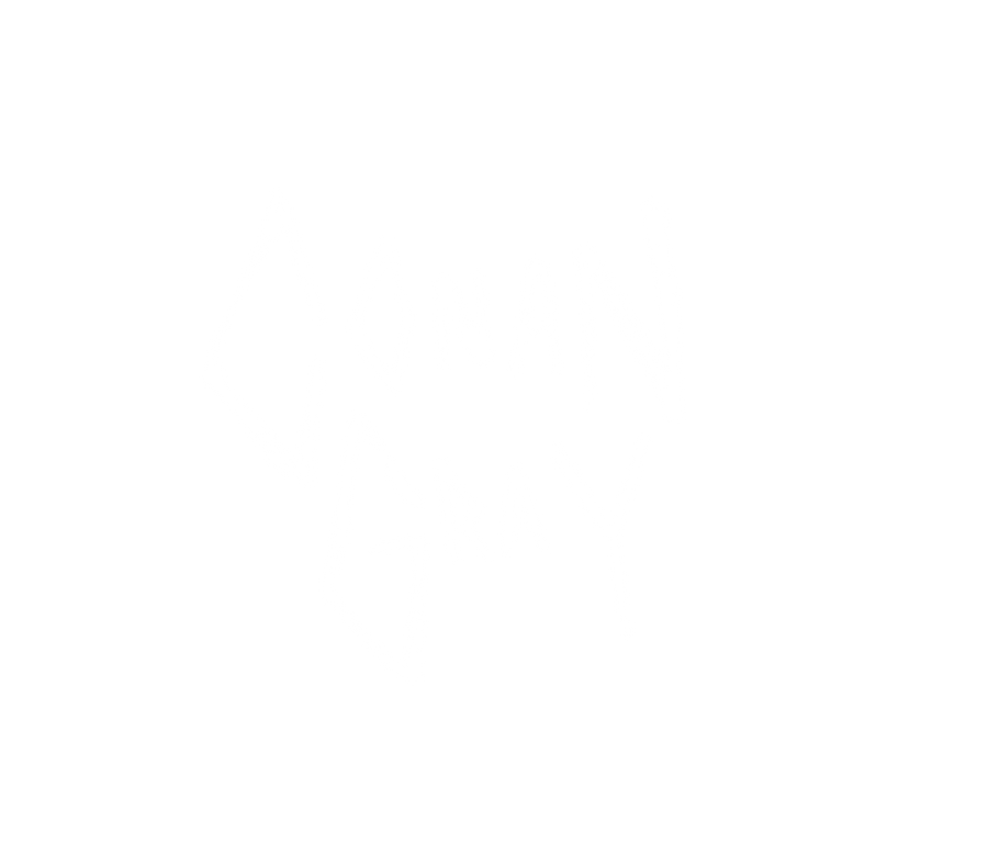 Conan Gray Official Store